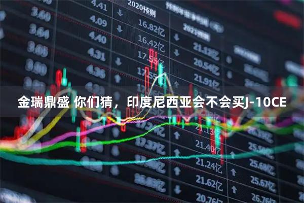 金瑞鼎盛 你们猜，印度尼西亚会不会买J-10CE